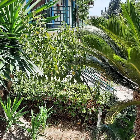 Appartement In With Sea Views & Pool Benitses (Corfu)