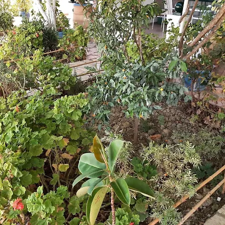 Apartamento Homely In With Balcony Benitses (Corfu)